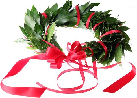 amazon corona alloro laurea